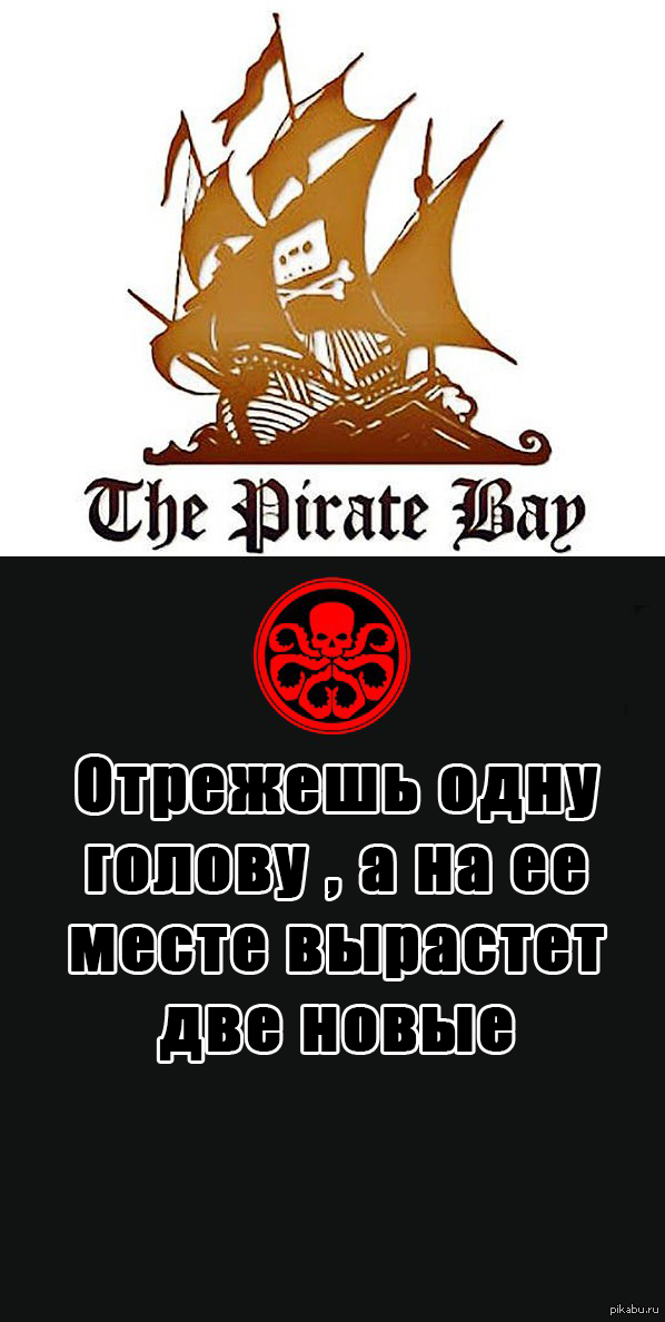 Кракен открылся
