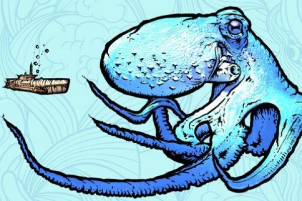 Kraken рабочий