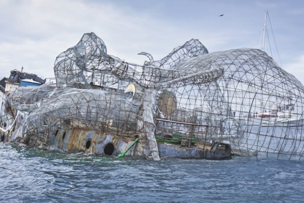 Www kraken 20at net