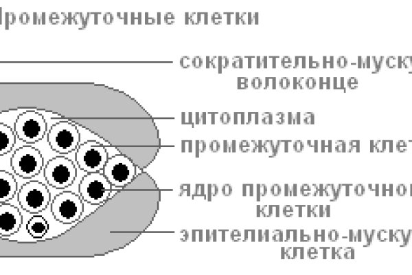 Кракен ссылка тор