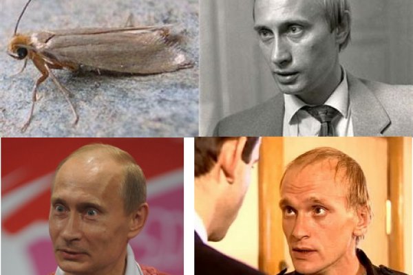 Кракен ссылку где