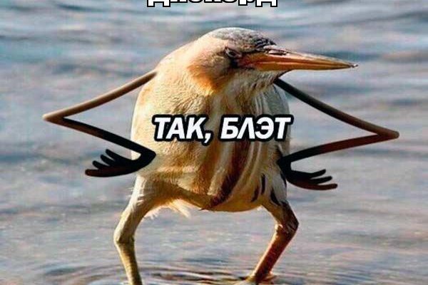 Kraken ссылка kraken torion