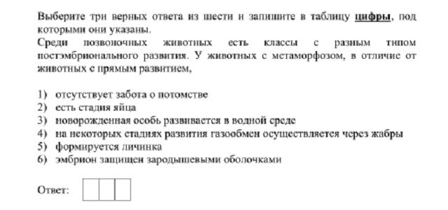Покупки на кракене даркнет