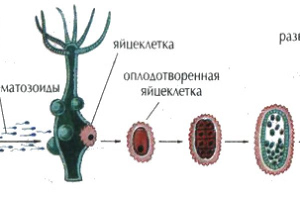 Кракен даркнет стор