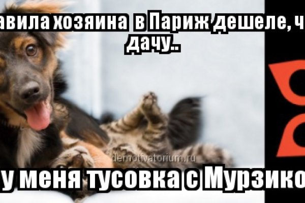 Кракен безопасный вход