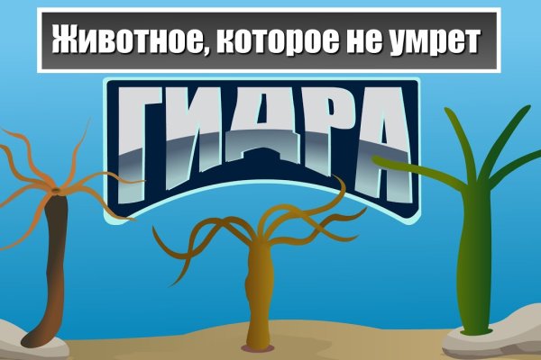 Kra40.cc